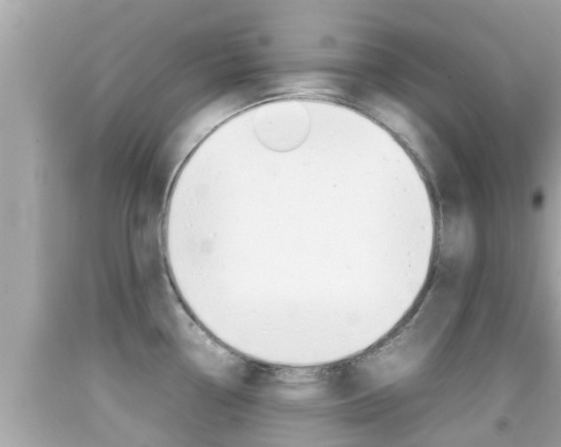 X0000092051338200709121017