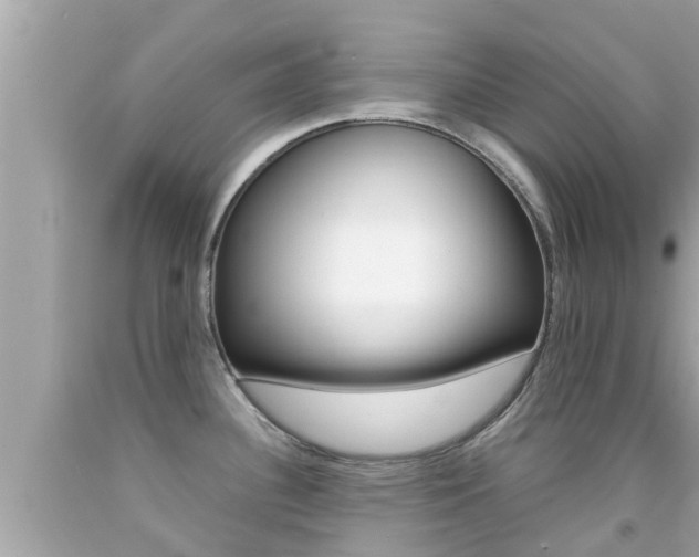 X0000092051340200709121017