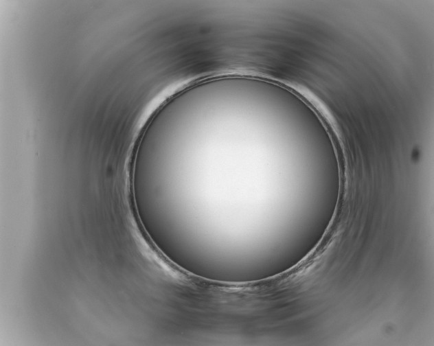 X0000092051341200709121017