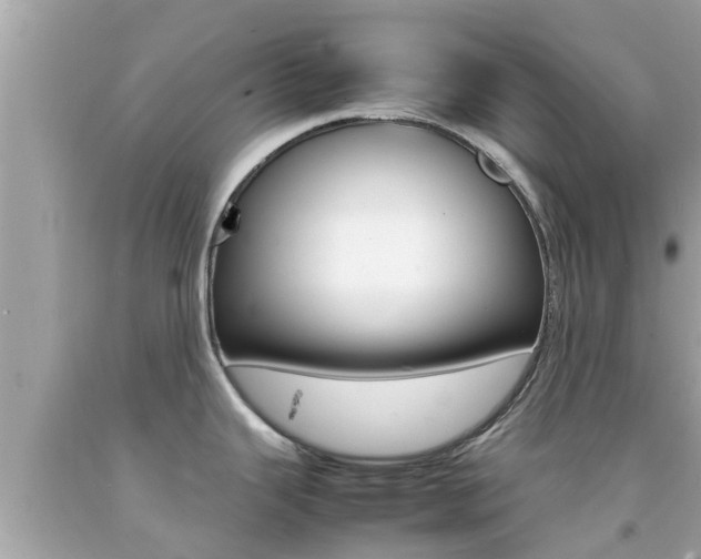 X0000092051343200709121017