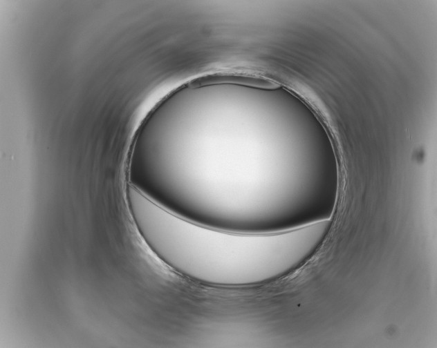 X0000092051344200709121017