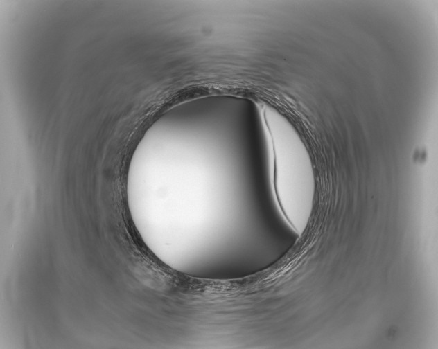 X0000092051345200709121017