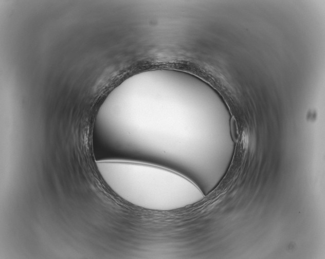 X0000092051348200709121017