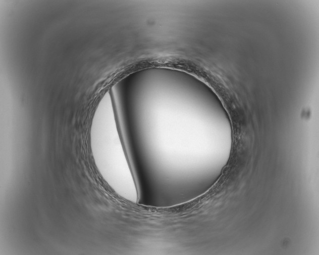 X0000092051349200709121017