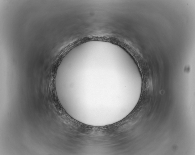 X0000092051350200709121017