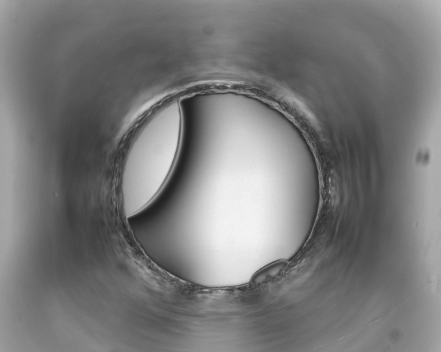 X0000092051352200709121017