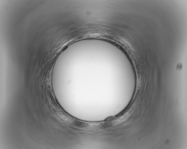 X0000092051353200709121017