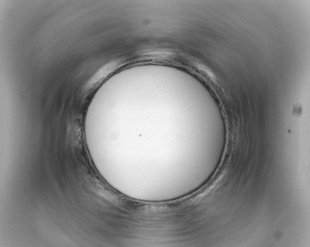 X0000092051354200709121017