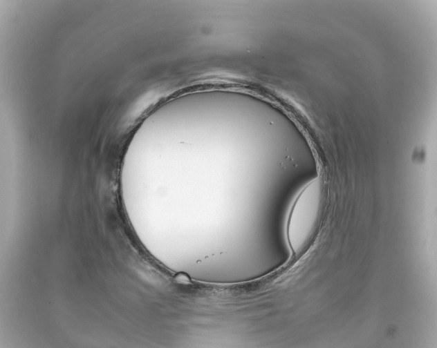 X0000092051355200709121017