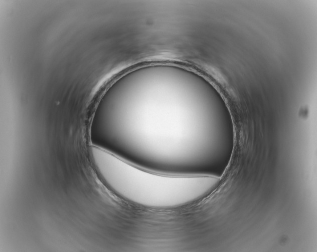 X0000092051356200709121017