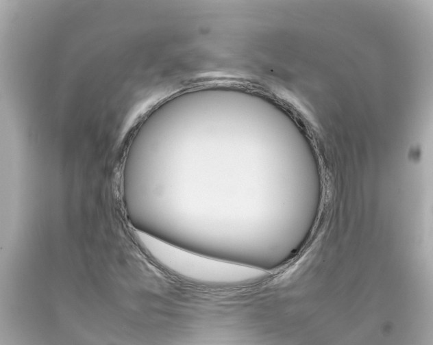 X0000092051357200709121017