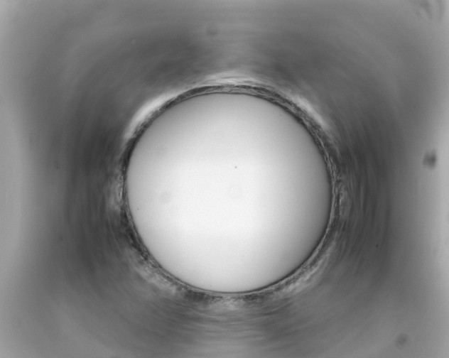 X0000092051358200709121017