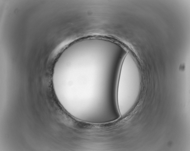 X0000092051359200709121017