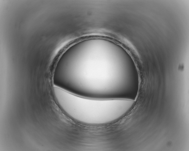 X0000092051360200709121017