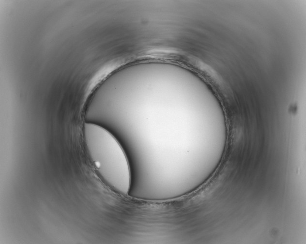 X0000092051362200709121017
