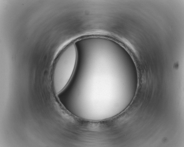 X0000092051364200709121017