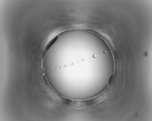 X0000092051365200709121016