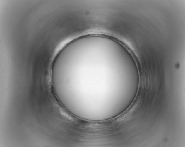 X0000092051366200709121016