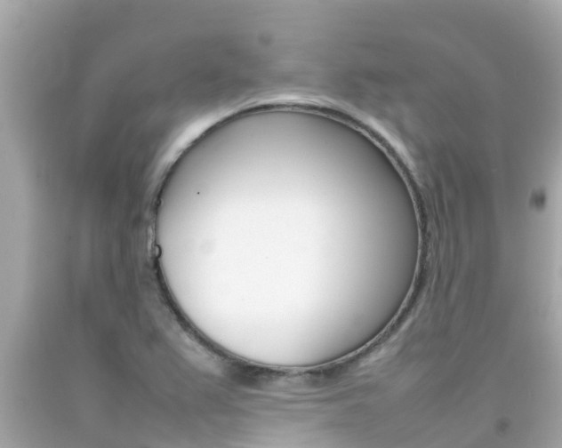X0000092051367200709121016