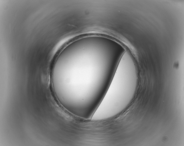 X0000092051368200709121016