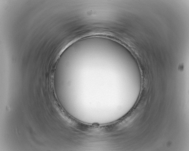 X0000092051369200709121016