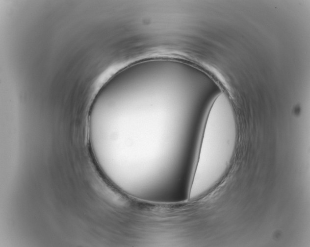 X0000092051371200709121016