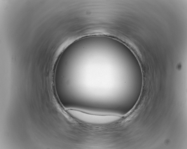 X0000092051373200709121016