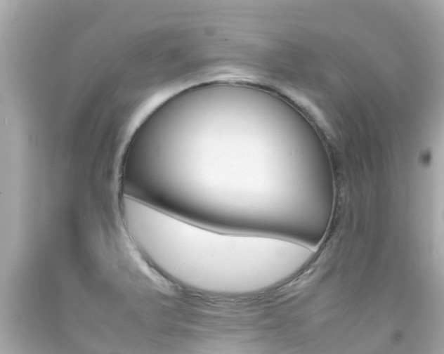X0000092051375200709121016