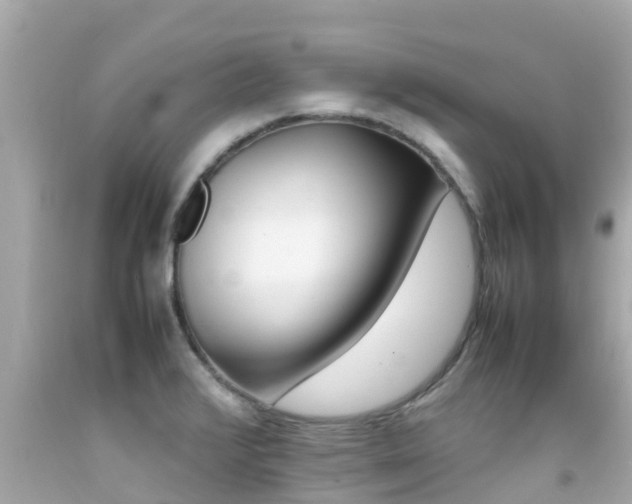 X0000092051376200709121016