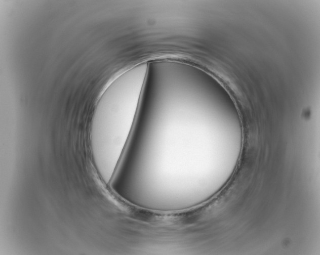 X0000092051377200709121016
