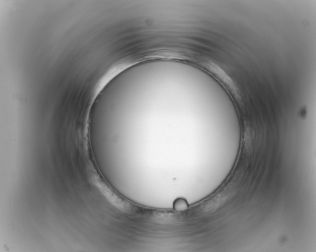 X0000092051378200709121016