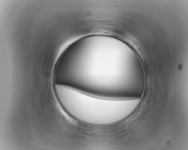 X0000092051379200709121016