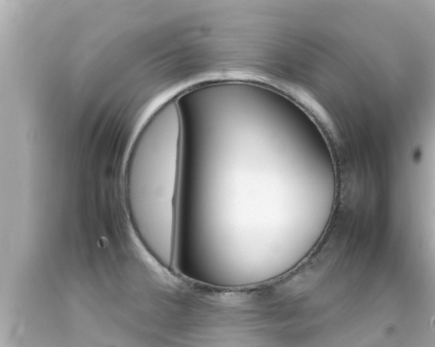 X0000092051380200709121016