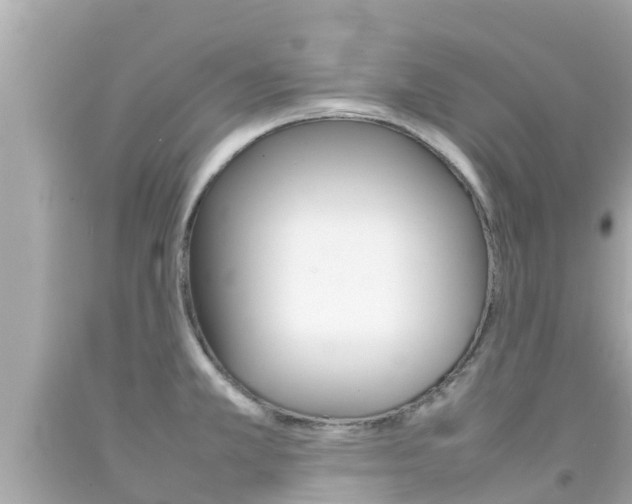X0000092051381200709121016