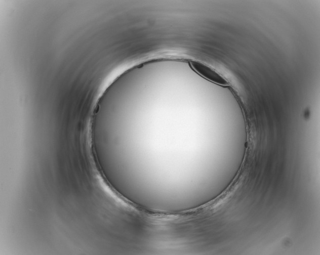 X0000092051382200709121016