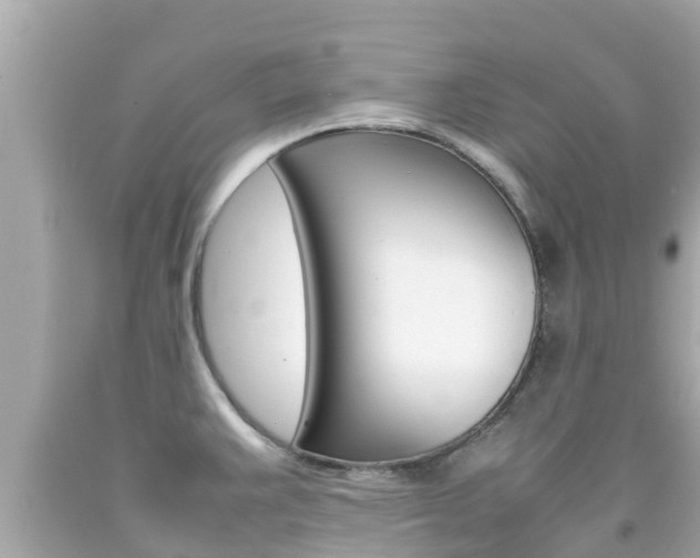 X0000092051383200709121016