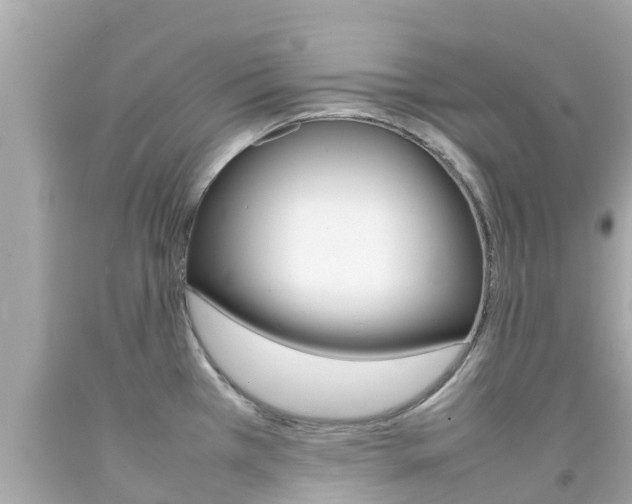 X0000092051385200709121016