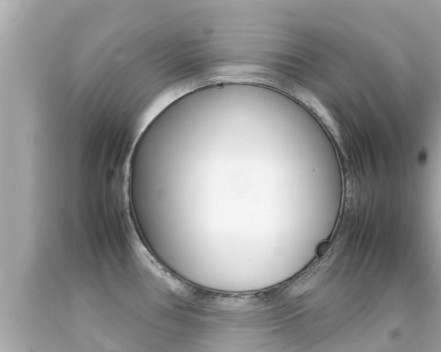 X0000092051386200709121016