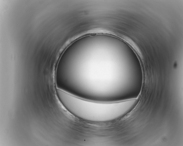 X0000092051388200709121016