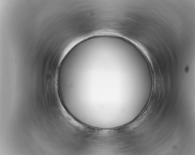 X0000092051390200709121016