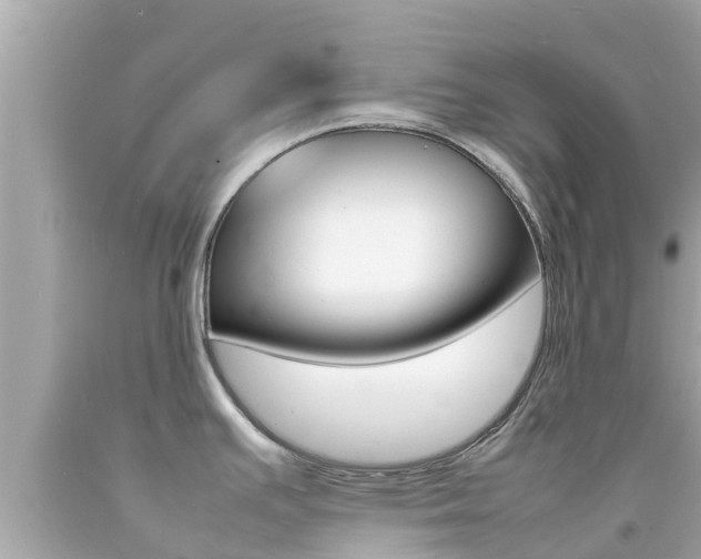 X0000092051391200709121016