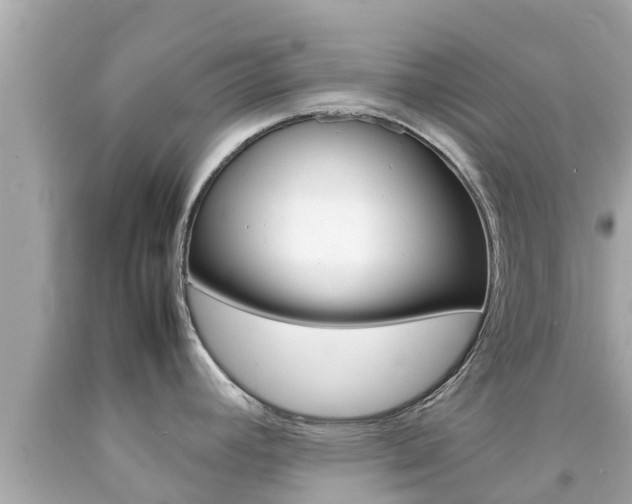 X0000092051392200709121016