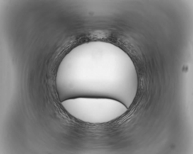 X0000092051393200709121016