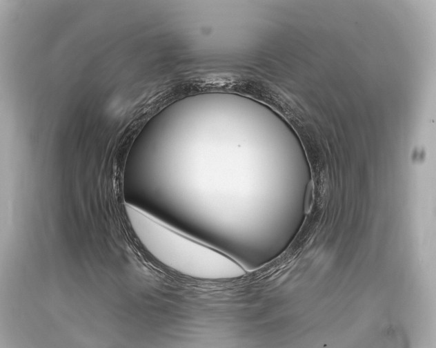 X0000092051394200709121016