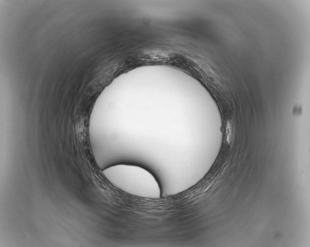 X0000092051395200709121016