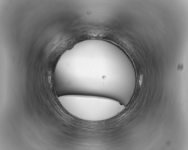 X0000092051396200709121016