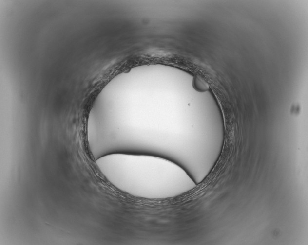 X0000092051397200709121016