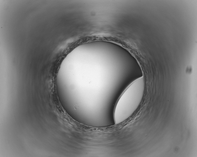 X0000092051398200709121016