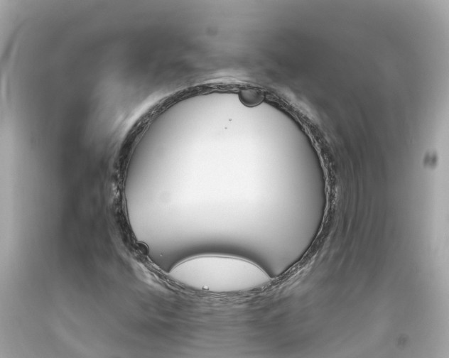 X0000092051400200709121016