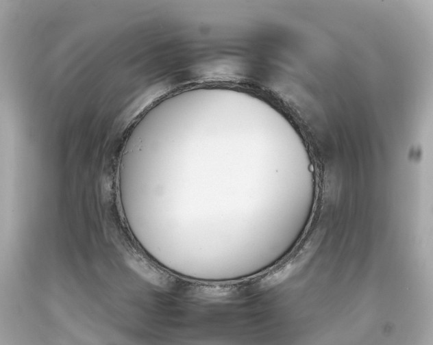 X0000092051401200709121016
